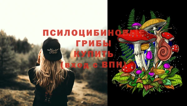 MDMA Premium VHQ Аркадак