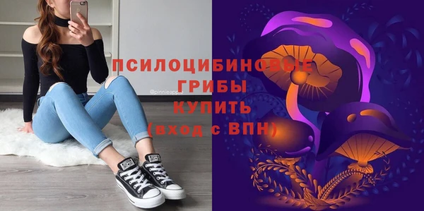 гидропоника Армянск